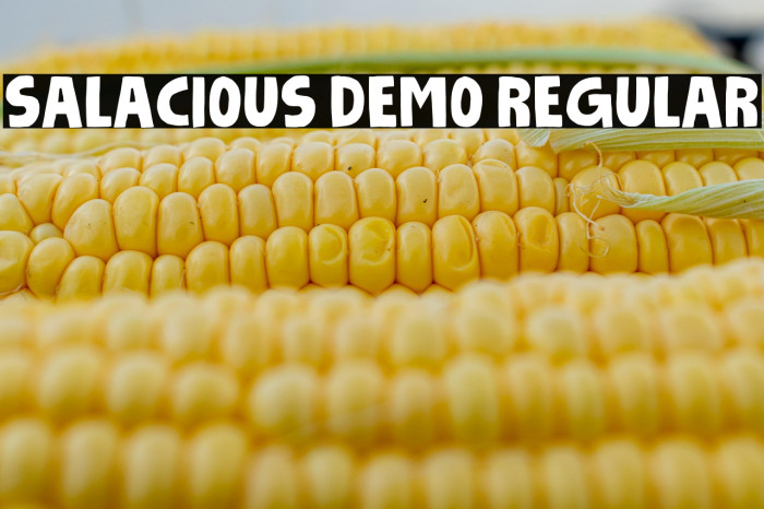 Salacious DEMO Regular Example 3