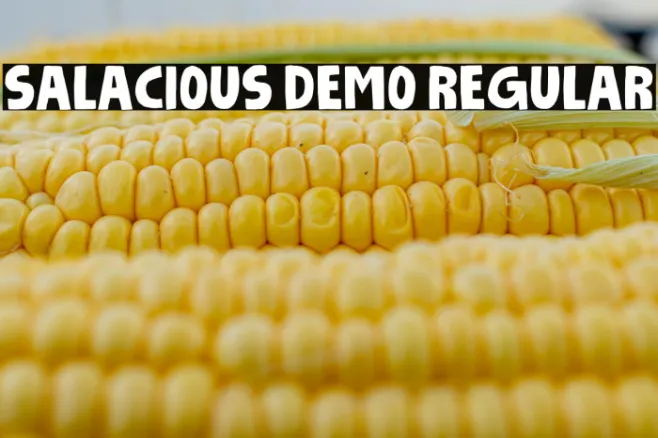 Salacious DEMO Regular Example 3