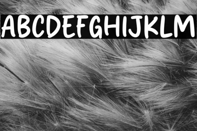 Salad Chicken Font examples