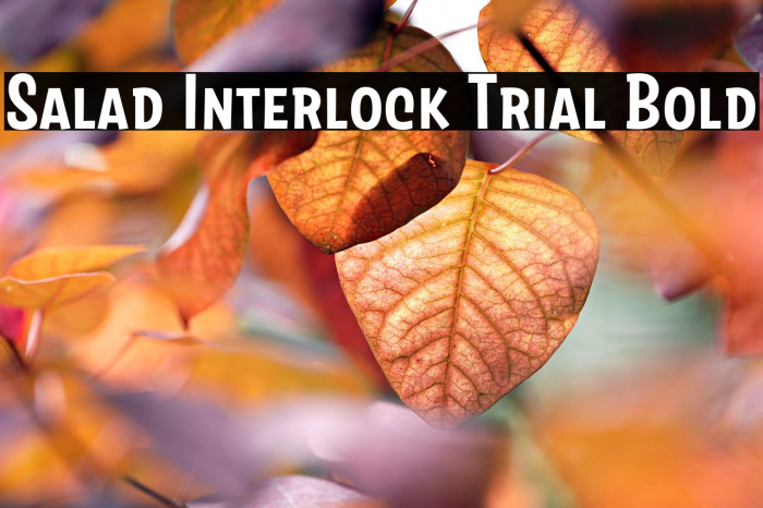 Salad Interlock Trial Bold Example 3