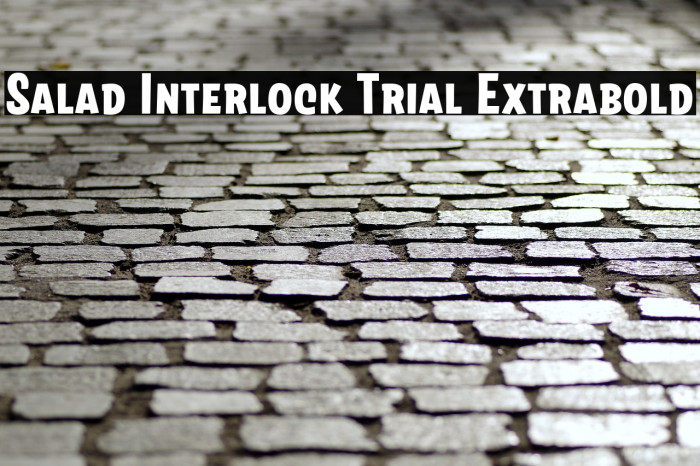 Salad Interlock Trial Extrabold Example 1
