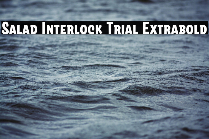 Salad Interlock Trial Extrabold Example 2