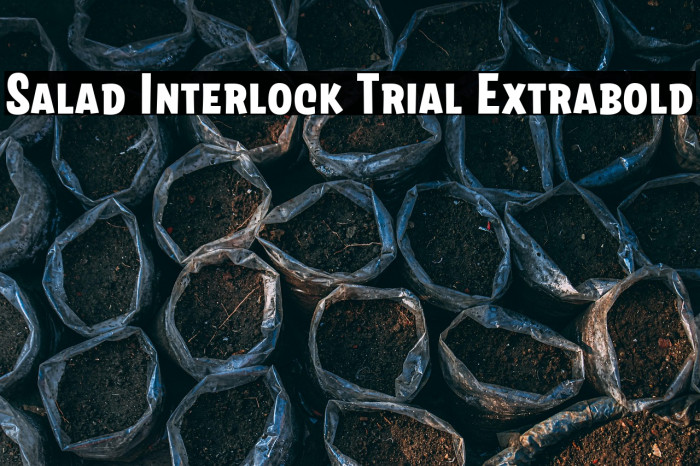 Salad Interlock Trial Extrabold Example 3