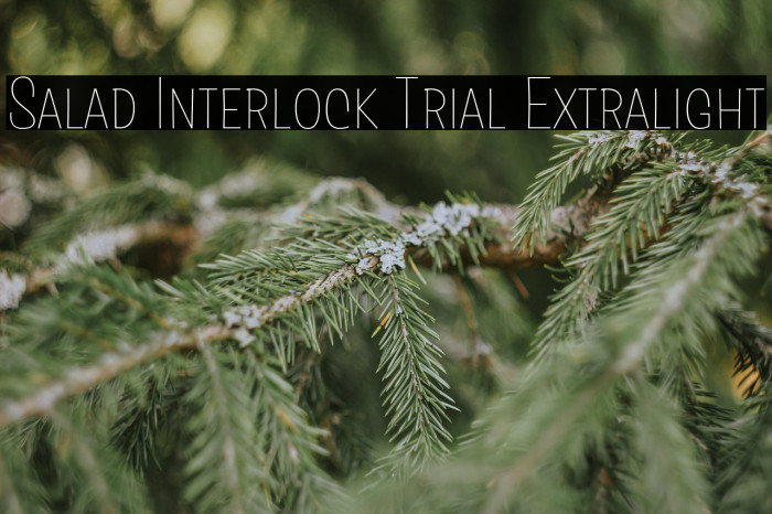 Salad Interlock Trial Extralight Example 2