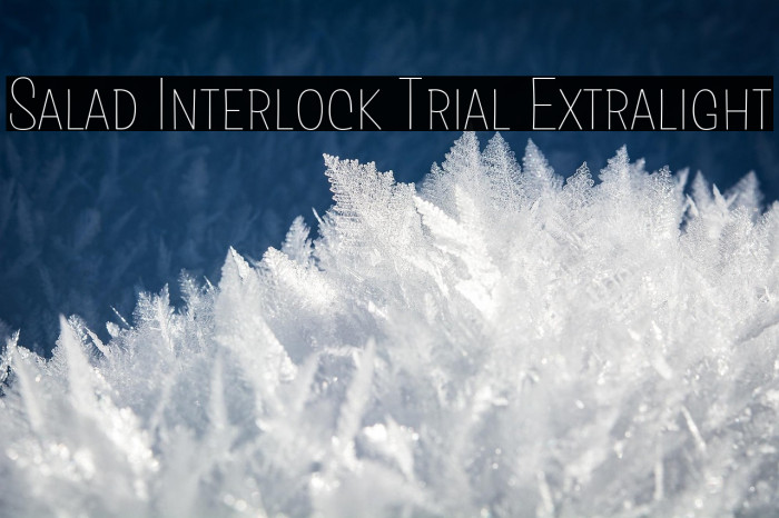 Salad Interlock Trial Extralight Example 3