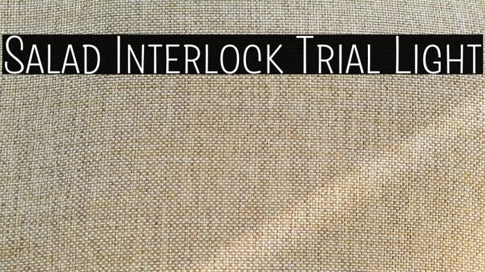 Salad Interlock Trial Light Example 1