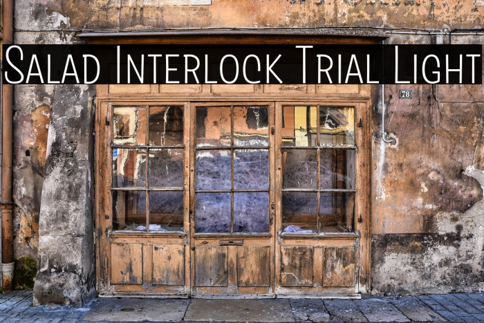 Salad Interlock Trial Light Example 2