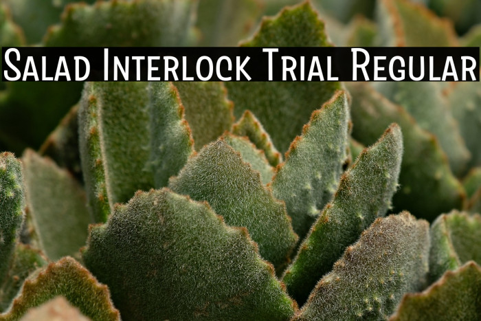 Salad Interlock Trial Regular Example 1