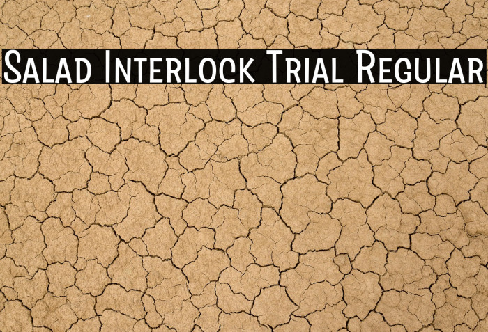 Salad Interlock Trial Regular Example 2