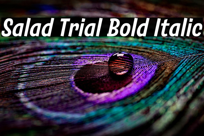 Salad Trial Bold Italic Example 1