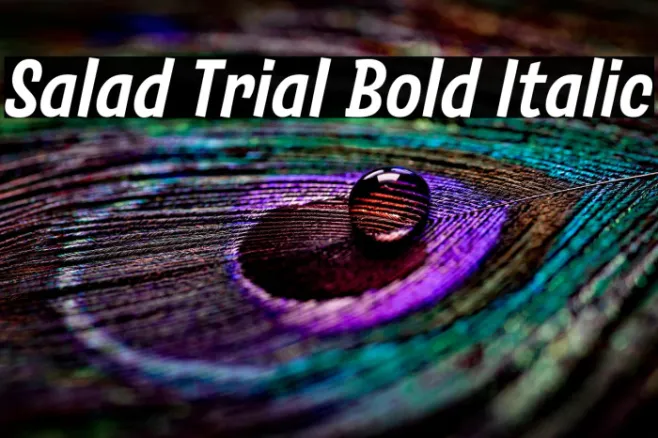 Salad Trial Bold Italic Example 1
