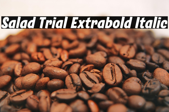 Salad Trial Extrabold Italic Example 1