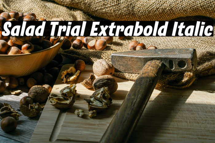 Salad Trial Extrabold Italic Example 2