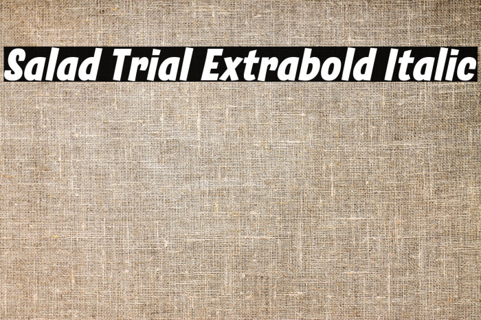 Salad Trial Extrabold Italic Example 3