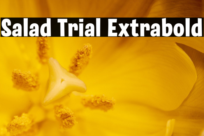 Salad Trial Extrabold Example 2
