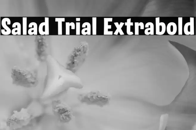 Salad Trial Extrabold Font examples