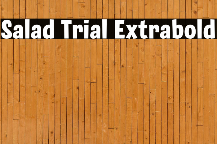 Salad Trial Extrabold Example 3