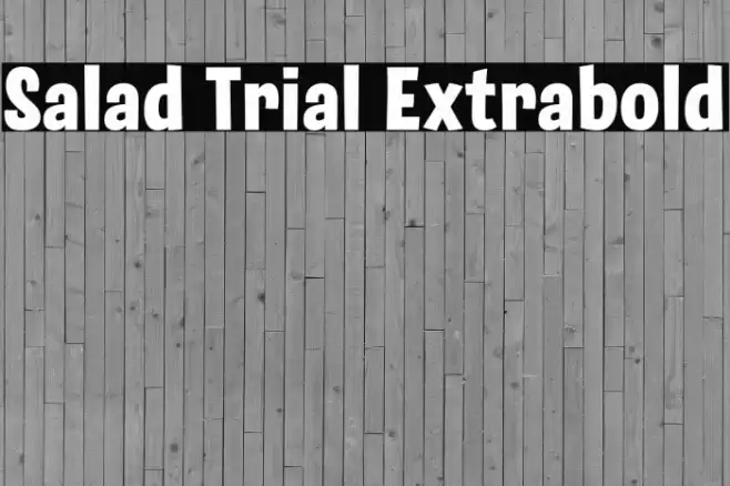 Salad Trial Extrabold Font examples