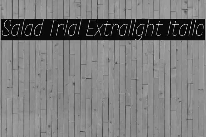 Salad Trial Extralight Italic Font examples