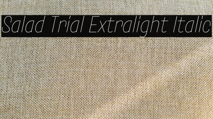 Salad Trial Extralight Italic Example 3