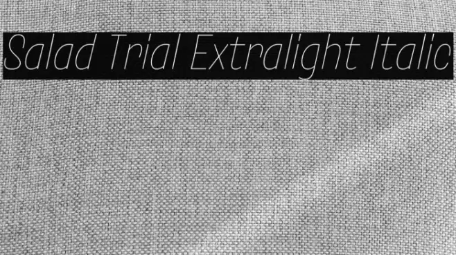 Salad Trial Extralight Italic Font examples