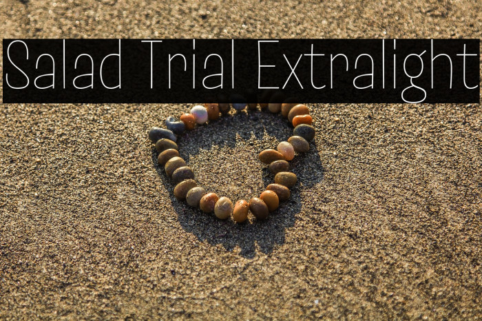 Salad Trial Extralight Example 3