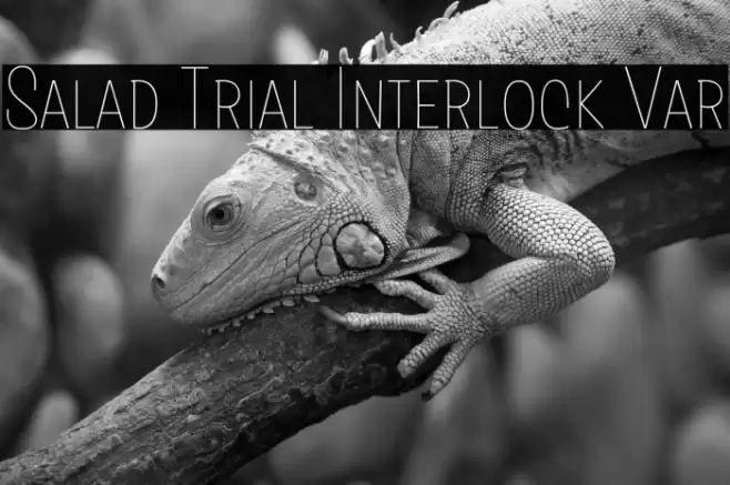 Salad Trial Interlock Var Font examples