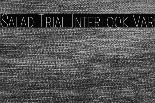 Salad Trial Interlock Var Font examples