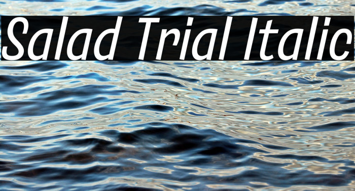 Salad Trial Italic Example 2