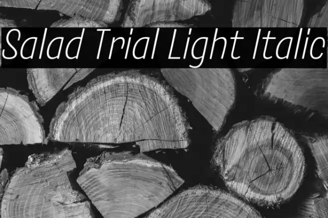 Salad Trial Light Italic Font examples
