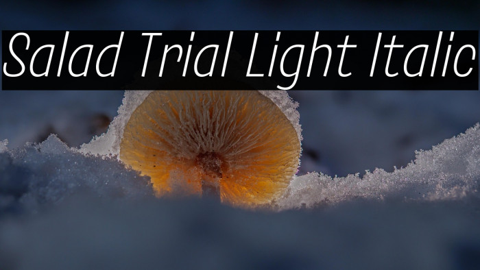 Salad Trial Light Italic Example 3