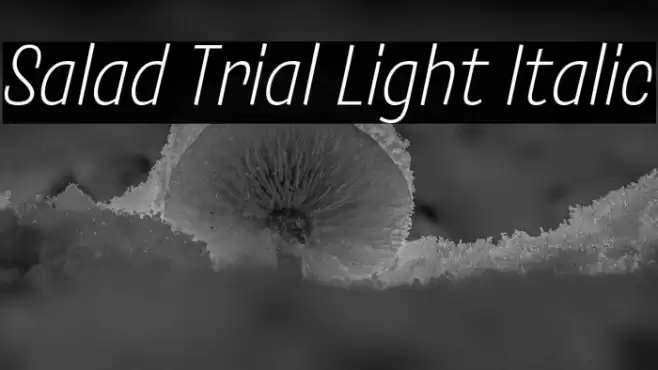 Salad Trial Light Italic Font examples