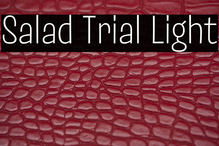 Salad Trial Light Example 1