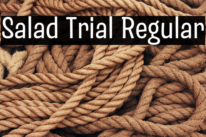 Salad Trial Regular Example 2