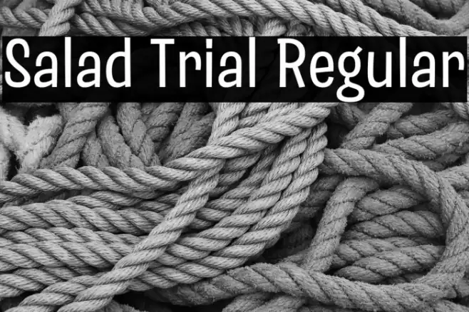 Salad Trial Regular Font examples