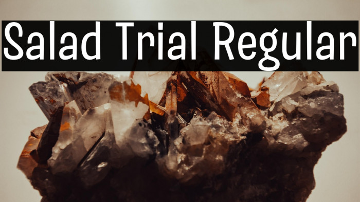 Salad Trial Regular Example 3