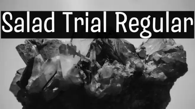 Salad Trial Regular Font examples