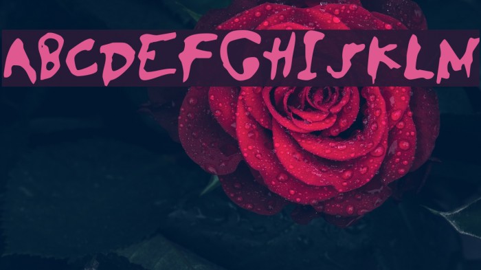 SaladeDeFruitsRaisin Font examples
