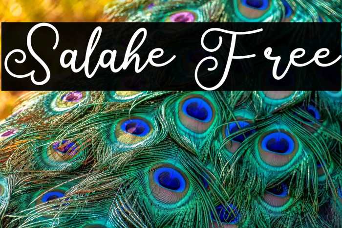 Salahe Free Example 1