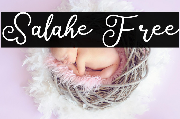 Salahe Free Example 2