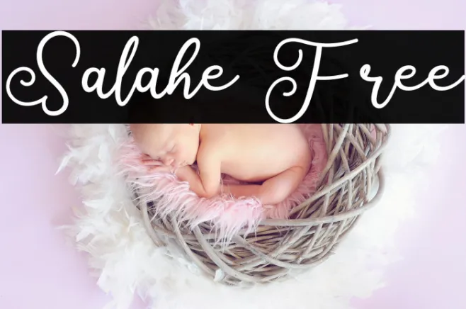 Salahe Free Example 2