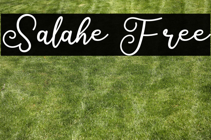 Salahe Free Example 3