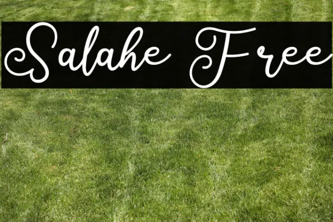 Salahe Free Example 3