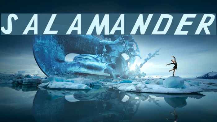 Salamander Font examples