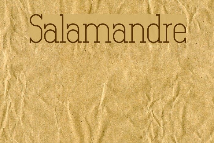 Salamandre Font examples