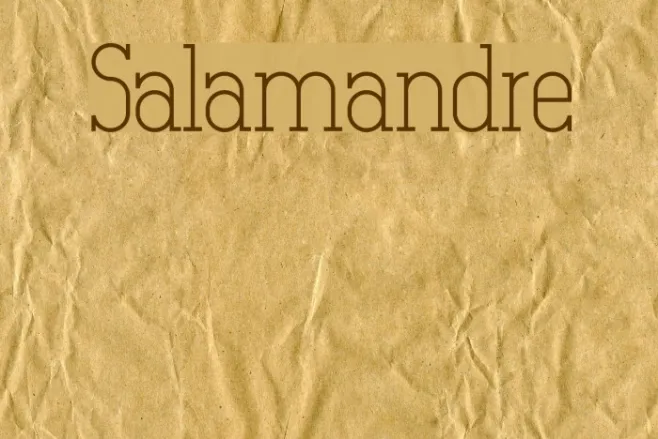 Salamandre Example 1