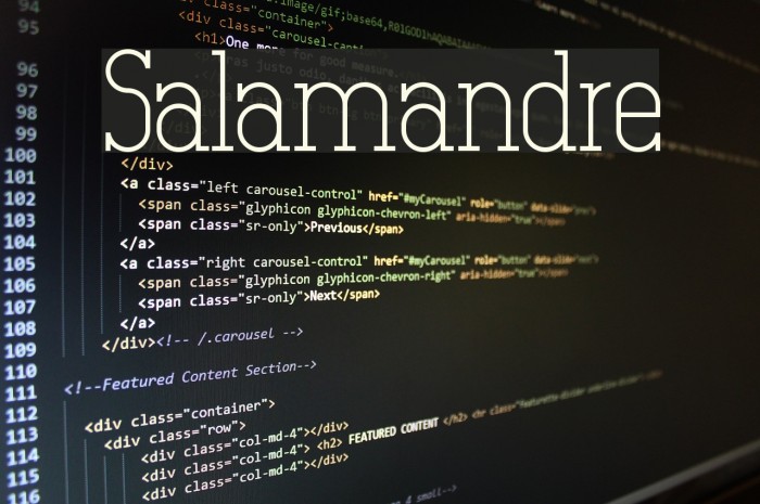 Salamandre Font examples