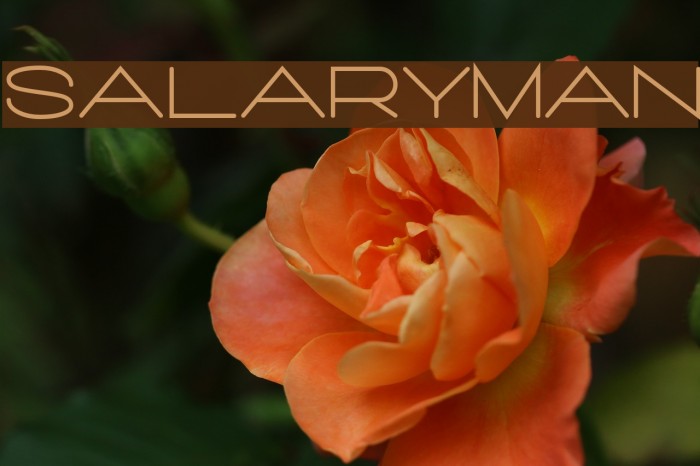 Salaryman फ़ॉन्ट examples