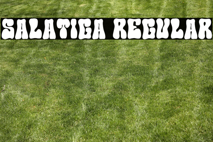 Salatiga Regular Example 1