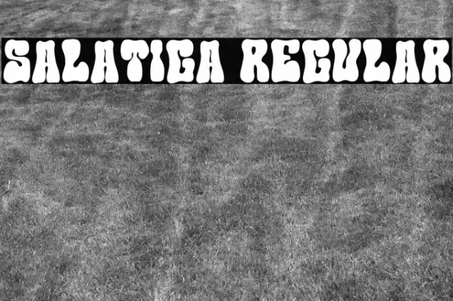Salatiga Regular Font examples